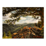 Rocky Mountain View II Oil Landscape Painting Post Card