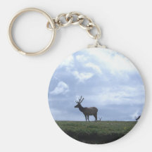 Rocky Mountains Key Chains