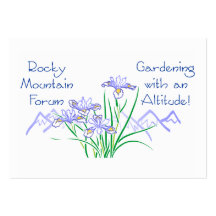Rocky Mtn #4 Business Cards