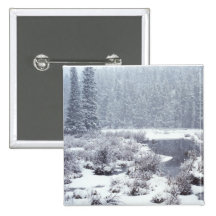 Rocky Mtn Winter Snow Pinback Button