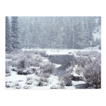 Rocky Mtn Winter Snow Postcards