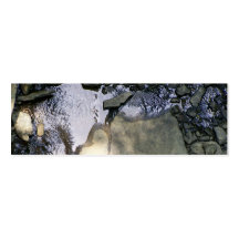 Rocky Stream Bookmark Business Card