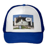 Rod Blagojevich Humour Hats