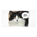 Rod Blagojevich Photo Cards