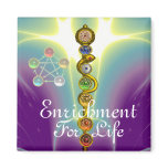 ROD OF ASCLEPIUS WITH 7 CHAKRAS ,SPIRITUAL ENERGY FRIDGE MAGNET
