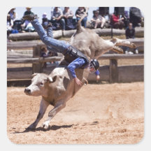 Rodeo Bucking Bull Square Sticker