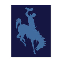 Rodeo Cowboy Postcards