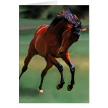 Rodeo horse for the cowboy card