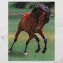 Rodeo horse for the cowboy personalized flyer