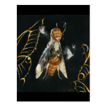 Roi des papillons cartes postales