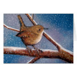 Roitelet en hiver : Illustration : Carte de note