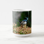Roitelet féerique masculin mug à café