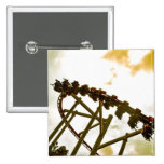 Rollercoaster Buttons