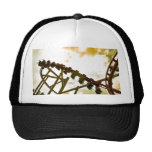Rollercoaster Hat