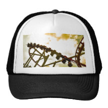 Rollercoaster Hat