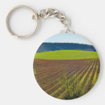 Rolling Hills And Vineyards Keychain