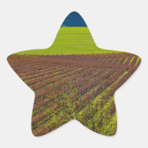 Rolling Hills And Vineyards Sticker