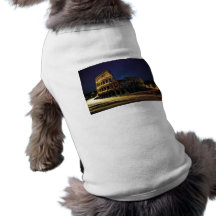 Roman Coliseum Dog Tee Shirt