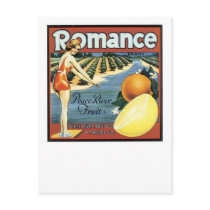Romance Brand Peace River Fruit Postcard