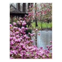 Romance In The Spring Postcards