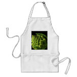 Romanesco Broccoli Fractals Apron