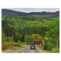 Romanian landscape full color flyer