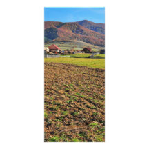 Romanian landscape rack cards