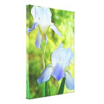 Romantic Blue Irises Canvas Prints