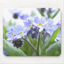 Romantic Forget Me Nots Mouse Pads