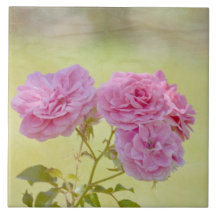 Romantic Garden Roses Tile
