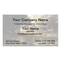 Romantic Landscape - 1885 business cards
