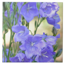 Romantic Lavender Flowers Ceramic Tile