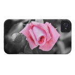 Romantic pink rose black and white iPhone 4 case