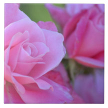 Romantic Pink Rose Floral Ceramic Tile