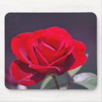 Romantic red rose and meaning mouse pads