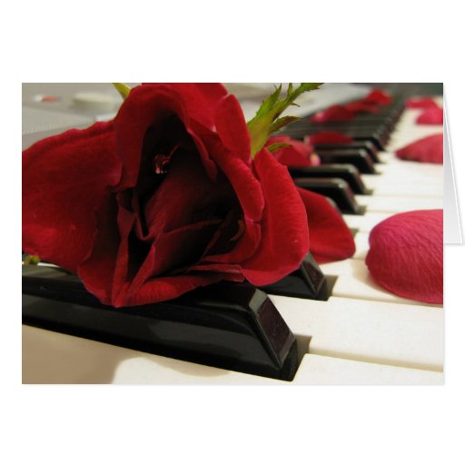 Romantic Red Rose Love Greeting Card