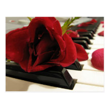 Romantic Red Rose Love Post Cards