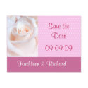 Romantic Rose Save the Date Postcard