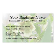 Romantic Spring Flowers - Hellebores! Business Card Template