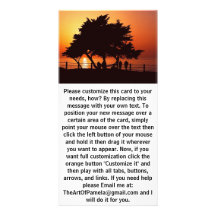 Romantic Tree Sunset Photo Card Template
