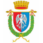 Rome Province Coat of Arms T-shirt