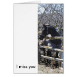 Romeo, I miss you card