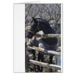 Romeo photo greeting cards