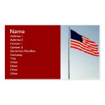 Romney Political Networking Business Card