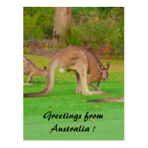 roo postcards