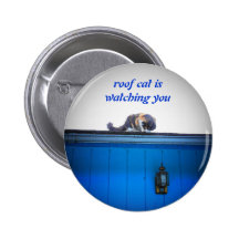 Roof cat is watching button