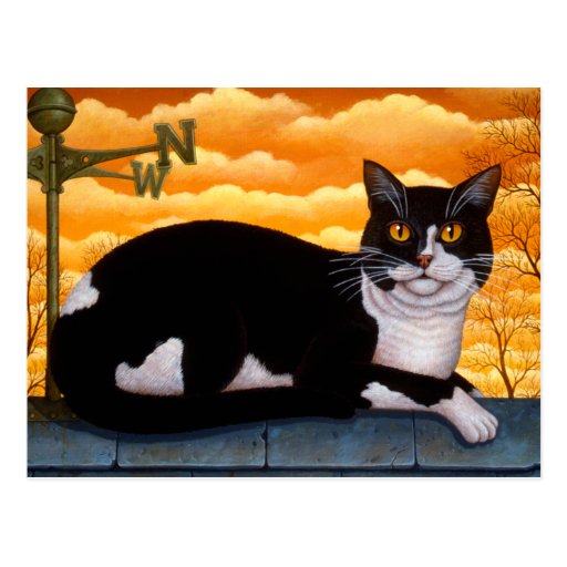 Roof Cat Post Cards