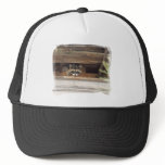 Roofie Raccoon Hat