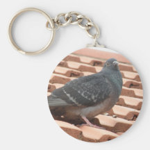Rooftop Pigeon Keychain
