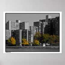 Roosevelt Island Autumn print
